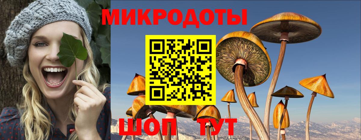 Галлюциногенные грибы Psilocybine cubensis Каменск-Уральский