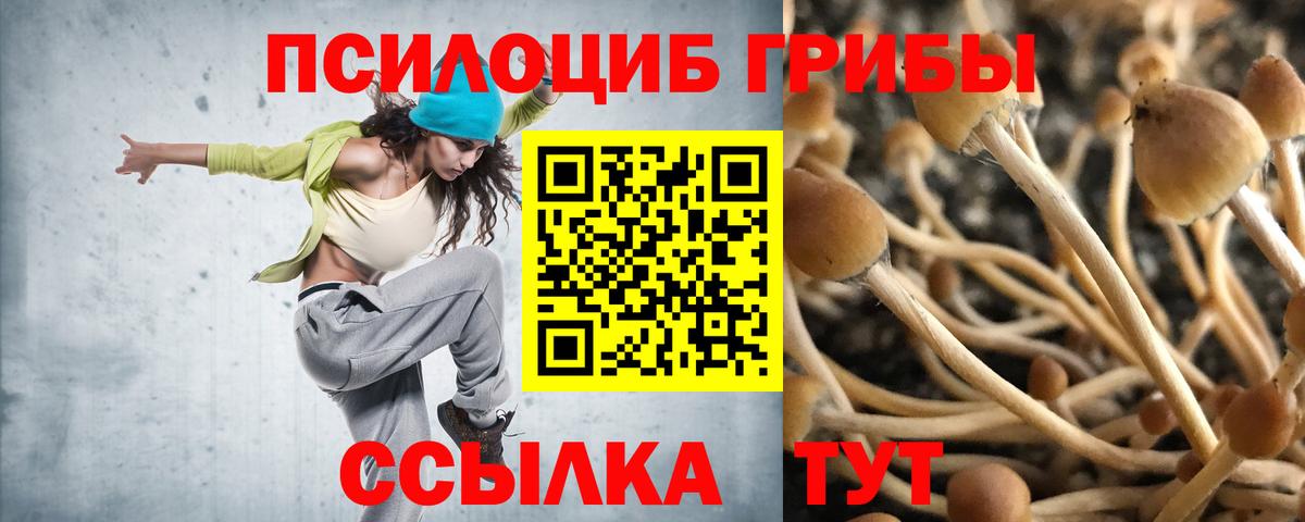 Галлюциногенные грибы Cubensis  Вход с VPN  Каменск-Уральский 